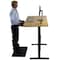 Uncaged Ergonomics RiseUpElectricStandingDesk60X30"BambooDesktopSitStandOffice, RU2bb RU2BB - alternate 8